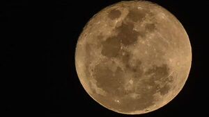 Habrá 12 lunas llenas a lo largo de este 2024