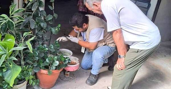 La Nación / Eliminan más de 280.000 criaderos de mosquitos en distintos puntos del país