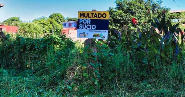 La Nación / Baldíos: Luque aplica multas y deja mensaje