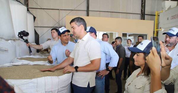 La Nación / Peña: Paraguay será potencia en la producción de arroz