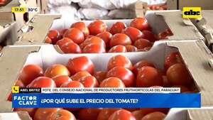 Senave suspende acreditación Afidis para la importación de tomate - Economía - ABC Color