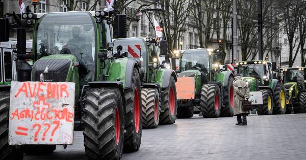 La Nación / Crisis agrícola en Europa afectaría acuerdo con Mercosur