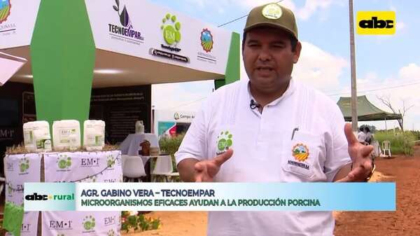 Video: microorganismos eficaces se destacan en producción porcina - ABC Rural - ABC Color
