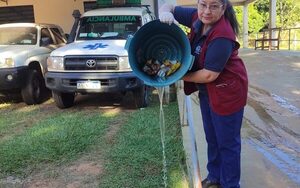 Continúa eliminación de criaderos en Juan E. O’Leary