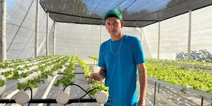 Granja penitenciaria producirá 2.000 lechugas al mes