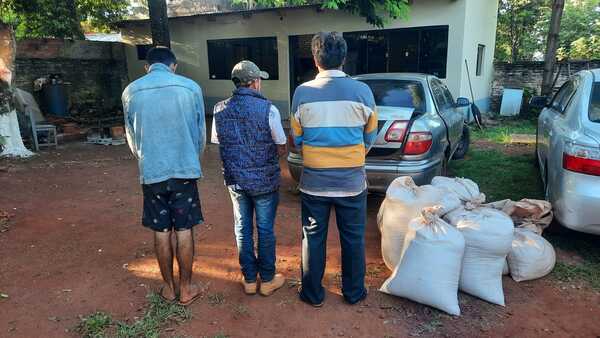 Policía sorprende a ladrones de bolsas de soja en Natalio