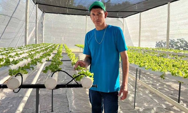 Granja penitenciaria producirá 2.000 lechugas al mes – Prensa 5