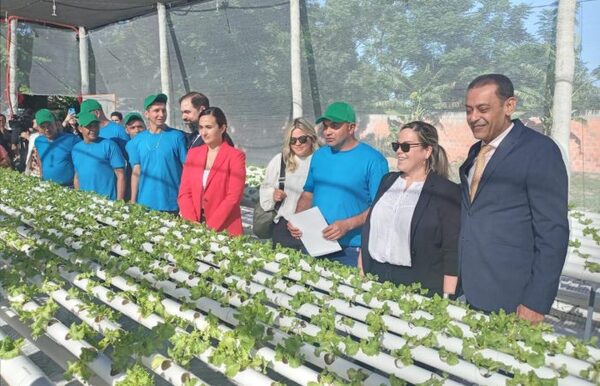 Habilitan módulo de producción hidropónica en Tacumbú y buscan replicarlo en otras cárceles - .::Agencia IP::.