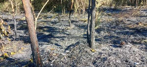 Municipalidad de Areguá ignora denuncias de delitos ambientales - Nacionales - ABC Color