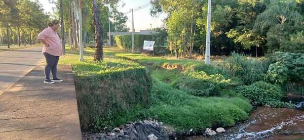 Mejoras en el arroyo Cañada del Carmen con suspensión de frigoríficos - Nacionales - ABC Color