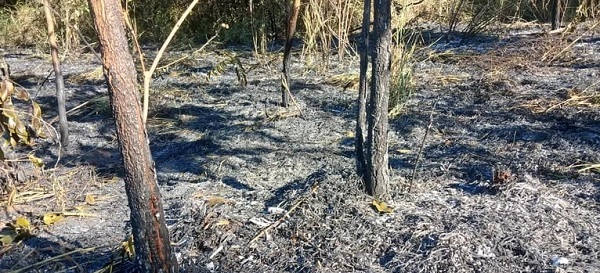 Municipalidad de Areguá no atiende denuncias de delitos ambientales de barrio Las Mercedes