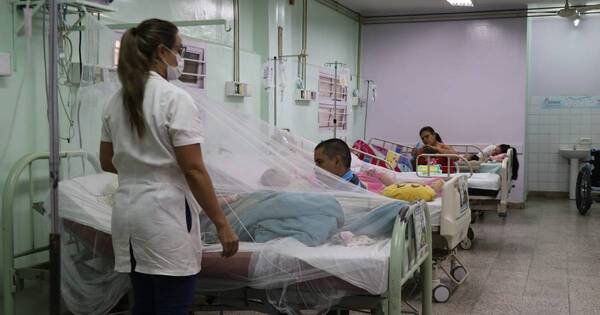 Diario HOY | Registran casi 5.000 personas afectadas por dengue en las últimas tres semanas