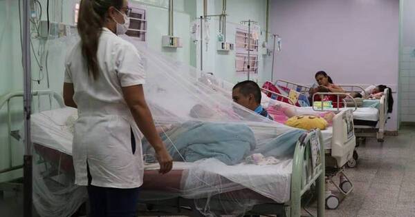 La Nación / Reporte semanal: unos 1.000 contagios de covid y más de 620 internados por dengue