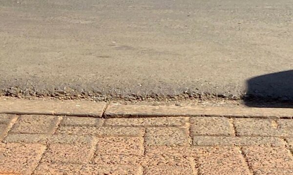 (VIDEO). Un mbói chini “salió a dar una vuelta” en pleno centro de Ciudad del Este
