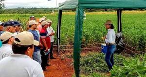 La Nación / Expondrán soja con biotecnología