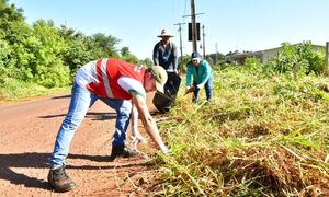 Realizaron minga ambiental en el Km 10 Monday de CDE – Diario TNPRESS