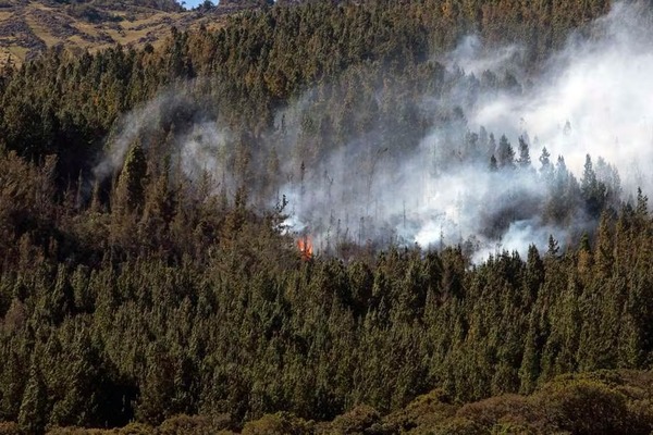 Colombia acude a la ONU por “desastre natural” a raíz de los incendios | 1000 Noticias