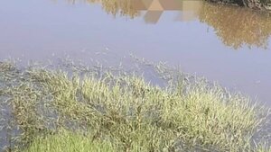 Hallan muerto a un hombre en un tajamar en Loreto - Radio Imperio 106.7 FM