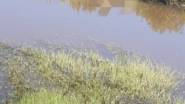 Hallan muerto a un hombre en un tajamar en Loreto - Radio Imperio 106.7 FM