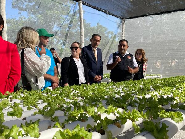 Reinserción social: inauguran vivero hidropónico en Granja penitenciaria Ko’ê Pyahu - Unicanal