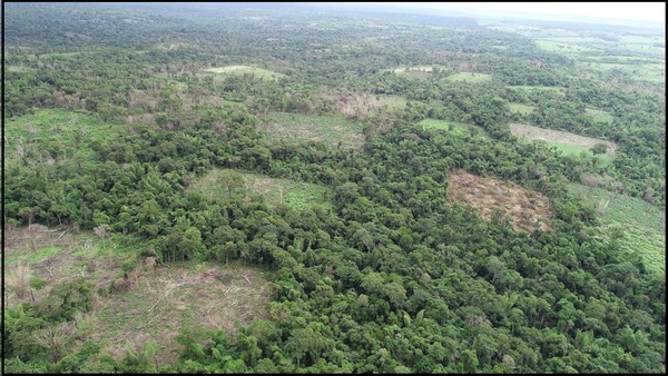 Tras ninguneo de Marito buscan salvar valiosa reserva protegida por Unesco convertida en territorio de narcos – La Mira Digital