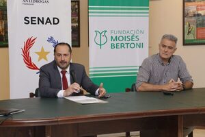 Unas 30 hectáreas de marihuana fueron destruidas en reserva natural "Moisés Bertoni" - .::Agencia IP::.