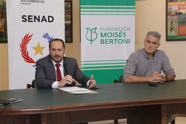 Unas 30 hectáreas de marihuana fueron destruidas en reserva natural "Moisés Bertoni" - .::Agencia IP::.