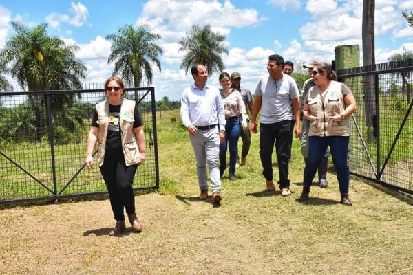 Proyecto de conservación en reserva San Rafael recibe apoyo de la Gobernación