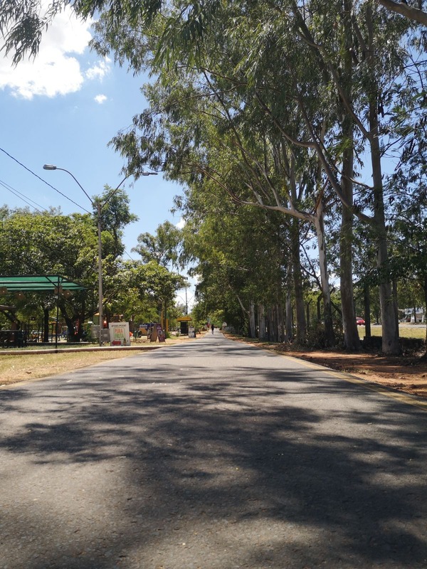 Parques Ñu Guasú y Metropolitano extienden su horario | 1000 Noticias
