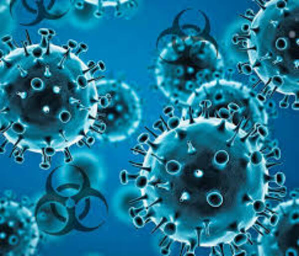 Camboya: niño de 3 años está internado en UTI tras ser diagnosticado con influenza aviar H5N1 | 1000 Noticias