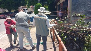 Realizan intervención ambiental en Arroyo Mburicao | 1000 Noticias