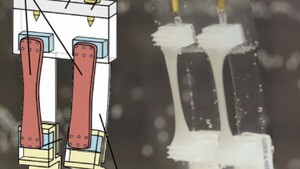 Investigadores diseñan un robot de dos patas capaz de caminar, detenerse y girar