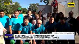 Video: reos trabajan en granja hidropónica - ABC Noticias - ABC Color