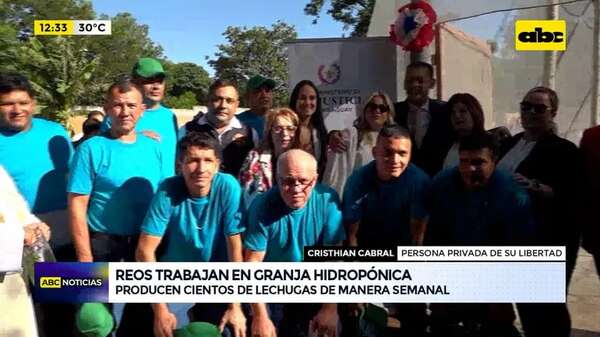 Video: reos trabajan en granja hidropónica - ABC Noticias - ABC Color