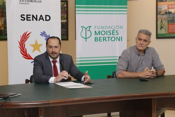 Unas 30 hectáreas de marihuana fueron destruidas en reserva natural «Moisés Bertoni» - ADN Digital