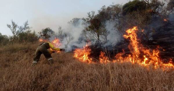 Diario HOY | Incendios forestales no dan tregua en Colombia, Petro pide auxilio a la ONU