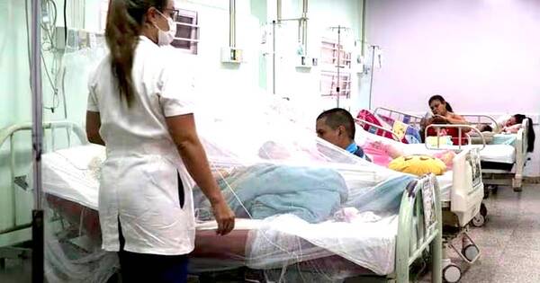 La Nación / Unos 1.000 contagios de covid y más de 620 internados por dengue