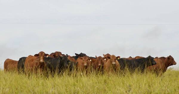 Diario HOY | “Aprobar la propuesta de la UE amenazará el desarrollo de la región”, advierten