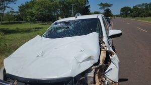 Accidente de Tránsito en Ruta Py05: Camioneta Toyota Hilux Choca con Ganado Suelto