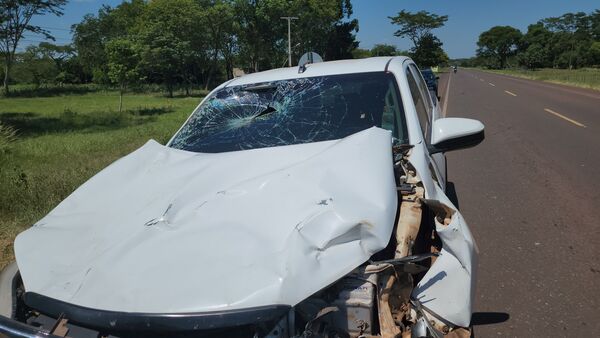 Accidente de Tránsito en Ruta Py05: Camioneta Toyota Hilux Choca con Ganado Suelto