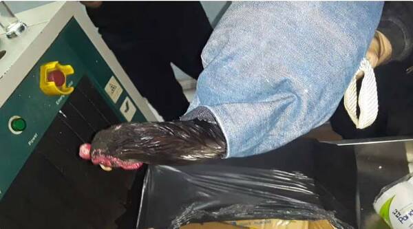 Cachan a patada gallos de riña en cárcel de Tacumbú