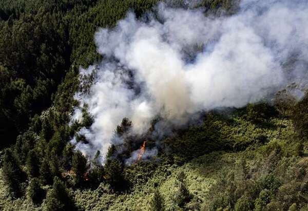 Colombia: Incendios forestales no dan tregua y autoridades solicitaron ayuda a la ONU - Unicanal