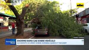 Video: enorme rama cayó sobre un vehículo estacionado en barrio Obrero - Periodísticamente - ABC Color