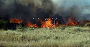 La Nación / Bomberos controlaron un gran incendio en un cañaveral de J. A. Saldívar