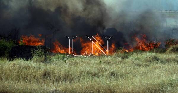 La Nación / Bomberos controlaron un gran incendio en un cañaveral de J. A. Saldívar