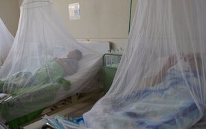 Alertan sobre los síntomas a tener en cuenta si padecés de dengue - Unicanal