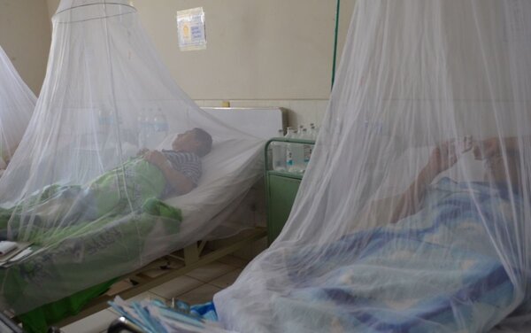 Alertan sobre los síntomas a tener en cuenta si padecés de dengue - Unicanal