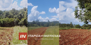 MUNICIPALIDAD DE NUEVA ALBORADA ASISTE A PEQUEÑOS PRODUCTORES CON PREPARACIÓN DE SUELO - Itapúa Noticias