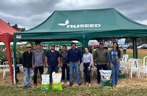 Nuseed presentó sus nuevos híbridos de sorgos para la zona de Sommerfeld