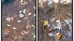 Suman nuevas denuncias de contaminación en Paso Yobái